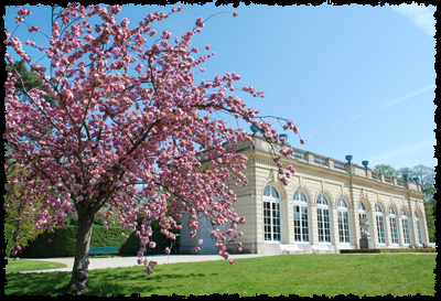 Festival Les Serres d'Auteuil, Orangerie de Bagatelle